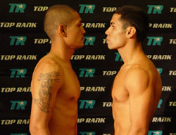 Bash Boxing