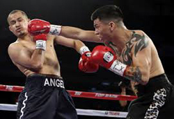 Bash Boxing | Jose Felix Jr.